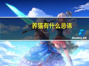 养猫有什么忌讳