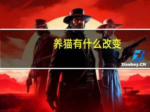 养猫有什么改变