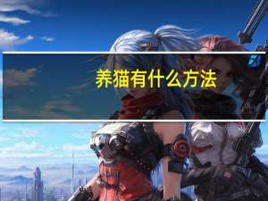 养猫有什么方法
