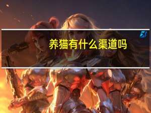 养猫有什么渠道吗
