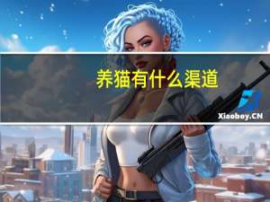 养猫有什么渠道