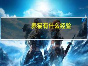 养猫有什么经验