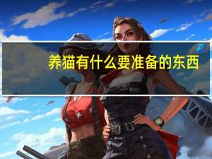养猫有什么要准备的东西