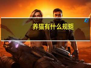 养猫有什么规矩