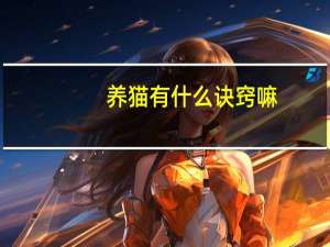 养猫有什么诀窍嘛