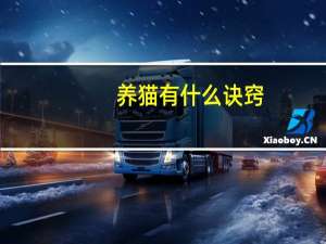 养猫有什么诀窍