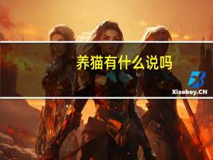 养猫有什么说吗