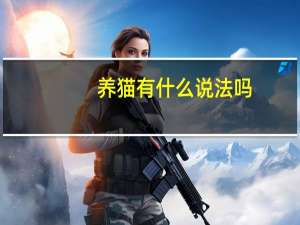 养猫有什么说法吗