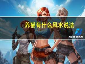 养猫有什么风水说法