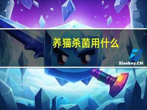 养猫杀菌用什么