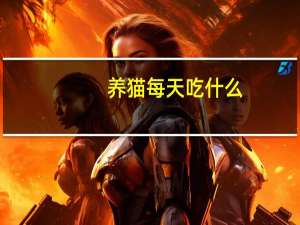 养猫每天吃什么