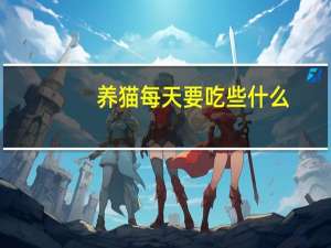 养猫每天要吃些什么