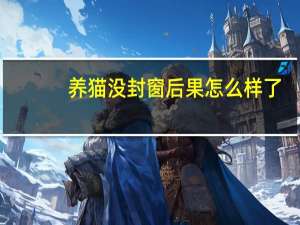 养猫没封窗后果怎么样了