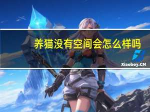养猫没有空间会怎么样吗