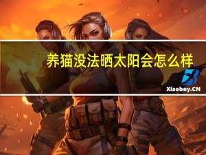 养猫没法晒太阳会怎么样
