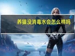 养猫没消毒水会怎么样吗