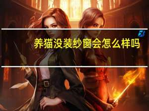 养猫没装纱窗会怎么样吗