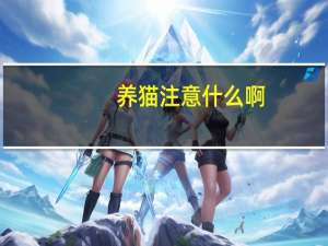 养猫注意什么啊