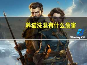 养猫洗澡有什么危害