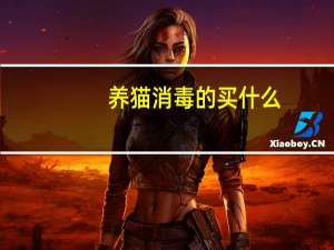 养猫消毒的买什么