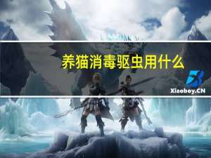 养猫消毒驱虫用什么