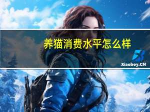 养猫消费水平怎么样