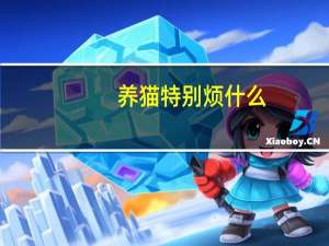 养猫特别烦什么