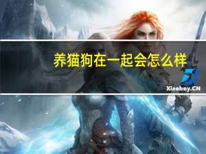养猫狗在一起会怎么样