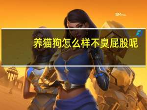 养猫狗怎么样不臭屁股呢