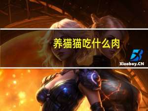 养猫猫吃什么肉