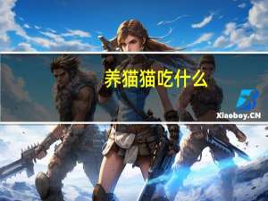 养猫猫吃什么