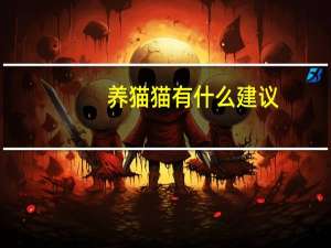 养猫猫有什么建议