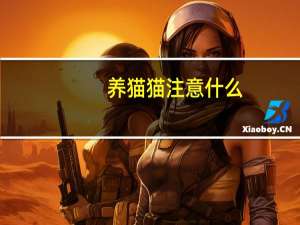 养猫猫注意什么
