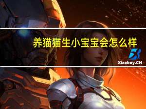 养猫猫生小宝宝会怎么样