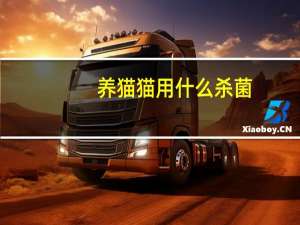 养猫猫用什么杀菌