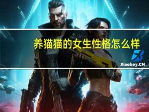 养猫猫的女生性格怎么样