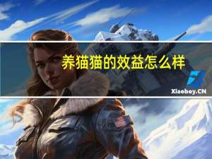 养猫猫的效益怎么样