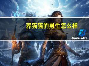 养猫猫的男生怎么样