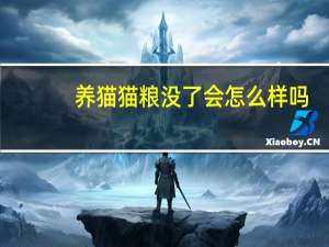 养猫猫粮没了会怎么样吗
