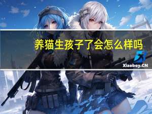 养猫生孩子了会怎么样吗