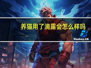 养猫用了滴露会怎么样吗