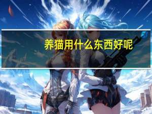 养猫用什么东西好呢