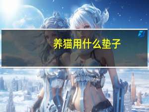 养猫用什么垫子