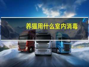 养猫用什么室内消毒