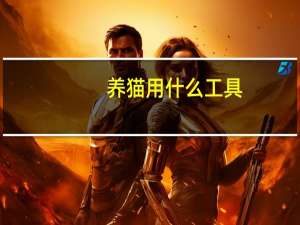 养猫用什么工具