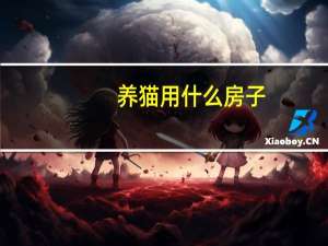 养猫用什么房子