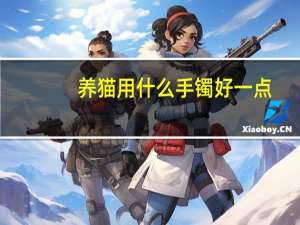 养猫用什么手镯好一点