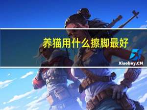 养猫用什么擦脚最好