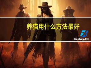 养猫用什么方法最好