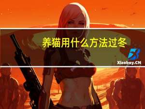 养猫用什么方法过冬